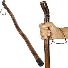 Vive Wooden Walking Stick